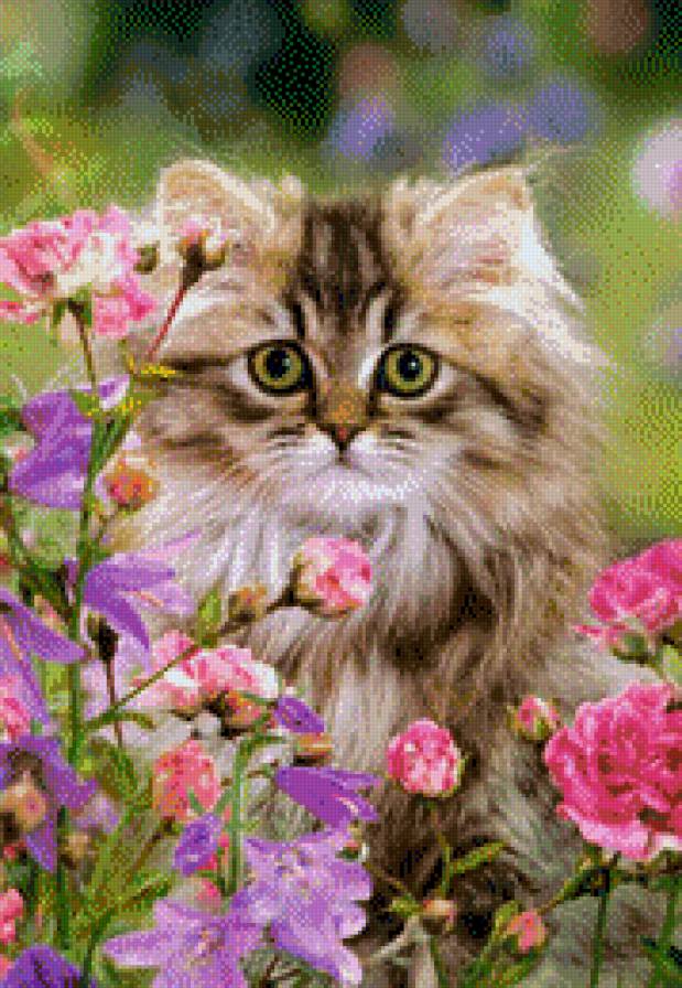 №603395 - предпросмотр