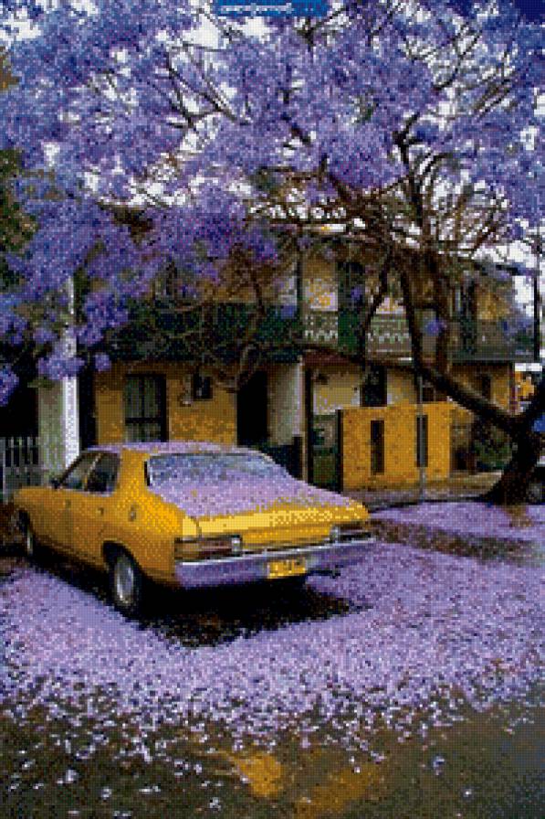 Глициниевый рай - предпросмотр