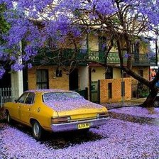 Схема вышивки «Глициниевый рай»