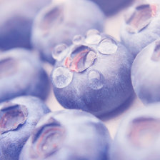 Схема вышивки «Blueberries»