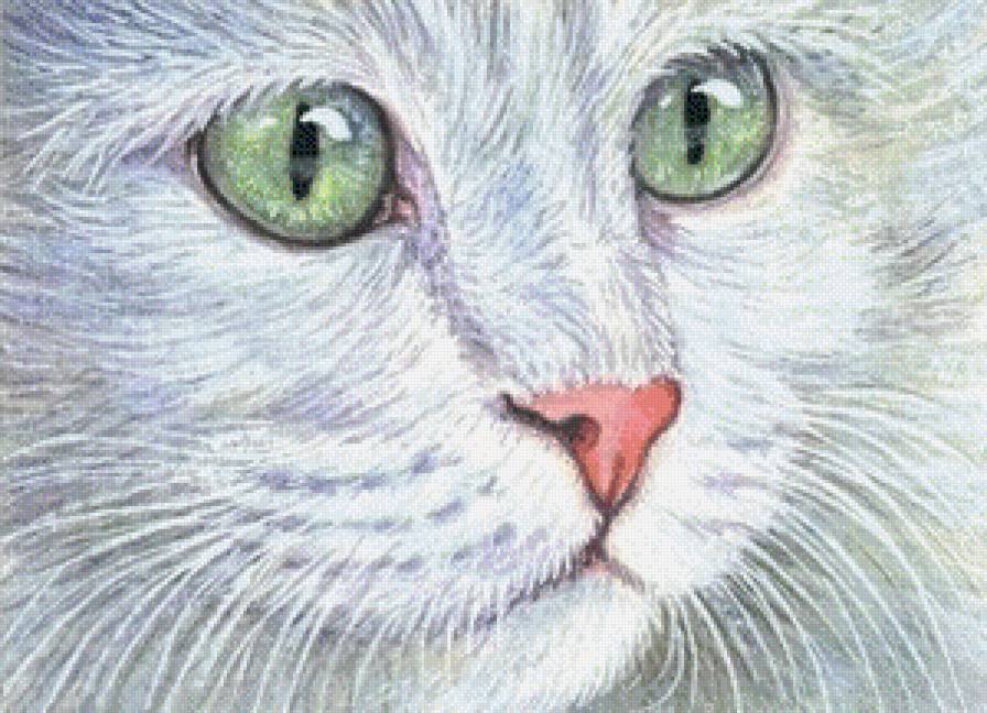 белая и пушистая... - белая кошка, котенок, кот, домашние животные, кошка, кошки - предпросмотр