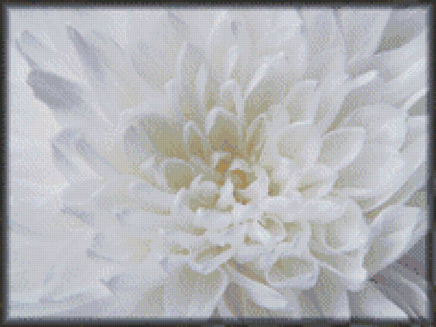 цветок - предпросмотр