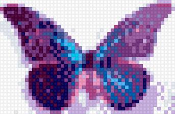 бабочки фиолет - бабочка - предпросмотр