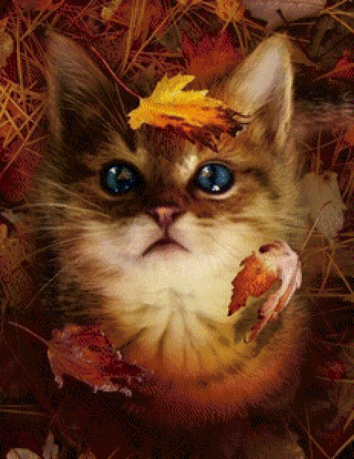 Котик - коты, природа, лес, кошки - предпросмотр