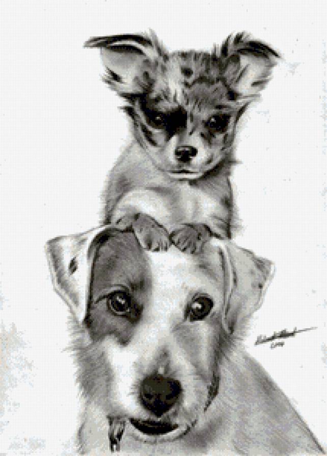 Собачки - предпросмотр