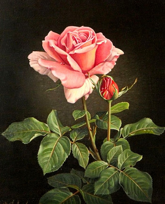 розовая роза - картина цветы - оригинал