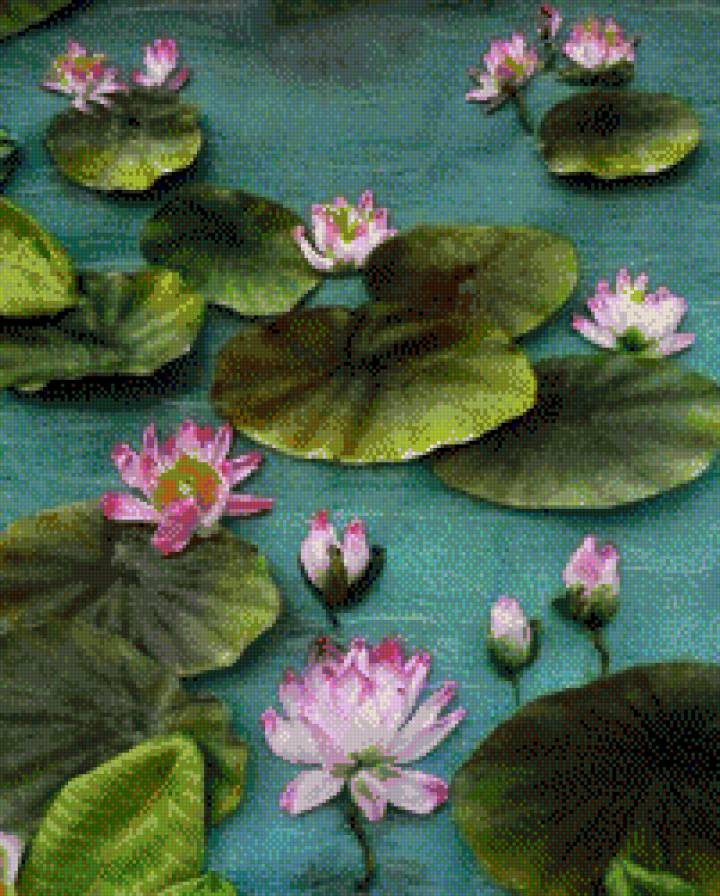 №604291 - предпросмотр