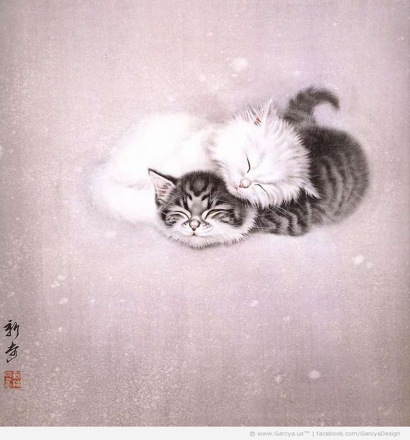 котята - кот, животные - оригинал