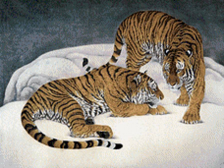 тигры - тигры, животные - предпросмотр