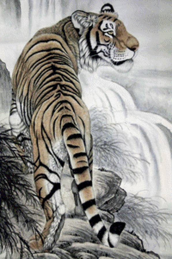 тигр - предпросмотр