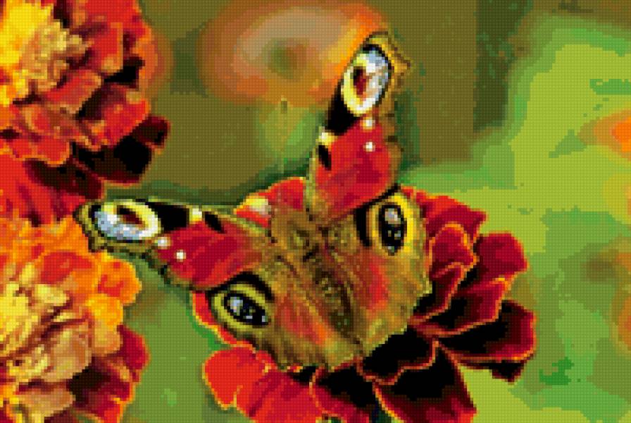 бабочка - цветы, бабочка, природа, цвет - предпросмотр