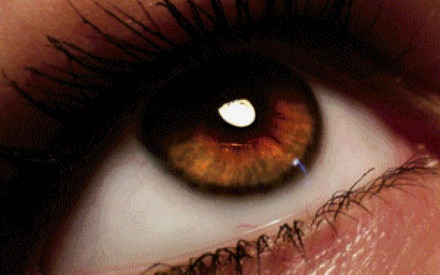 Глаз - глаз, глаза - предпросмотр