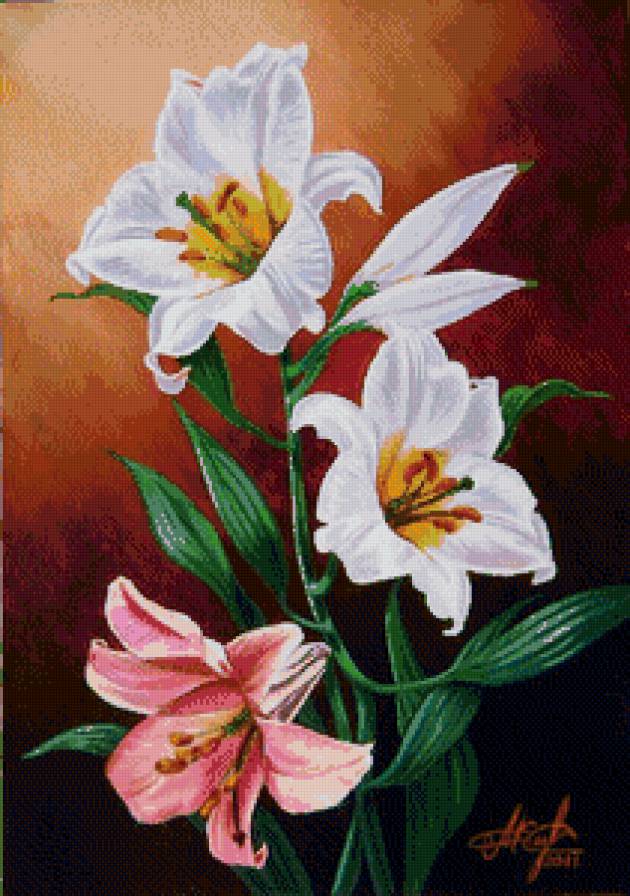 лилии - цветы, лилии - предпросмотр