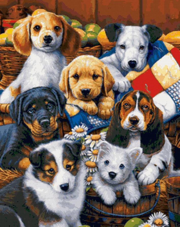 животные - животные - предпросмотр