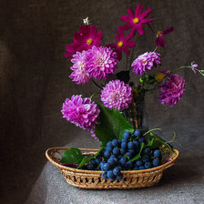 Схема вышивки «виноград»