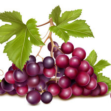 Оригинал схемы вышивки «Виноградная гроздь» (№605329)
