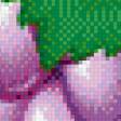 Предпросмотр схемы вышивки «Виноградная гроздь» (№605336)