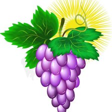 Оригинал схемы вышивки «Виноградная гроздь» (№605336)