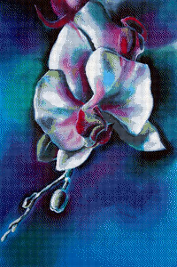 Радужная орхидея - цветы, восток, азия - предпросмотр