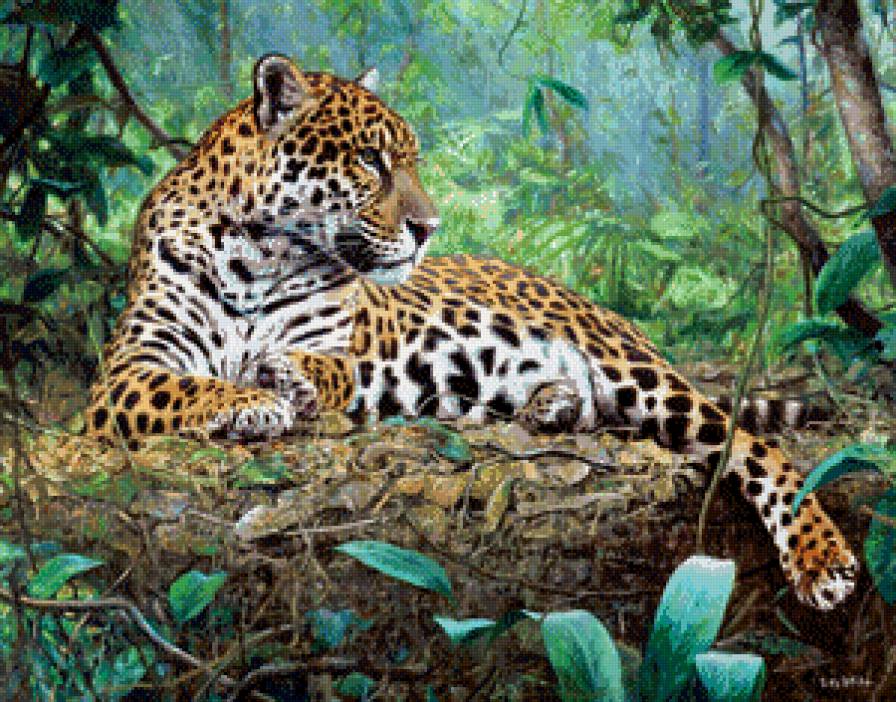 №605381 - животные - предпросмотр