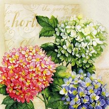 Схема вышивки «цветы»