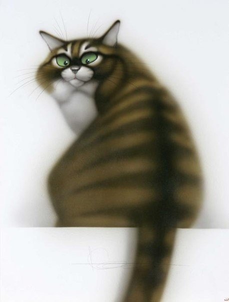 Упитанный - кот - оригинал