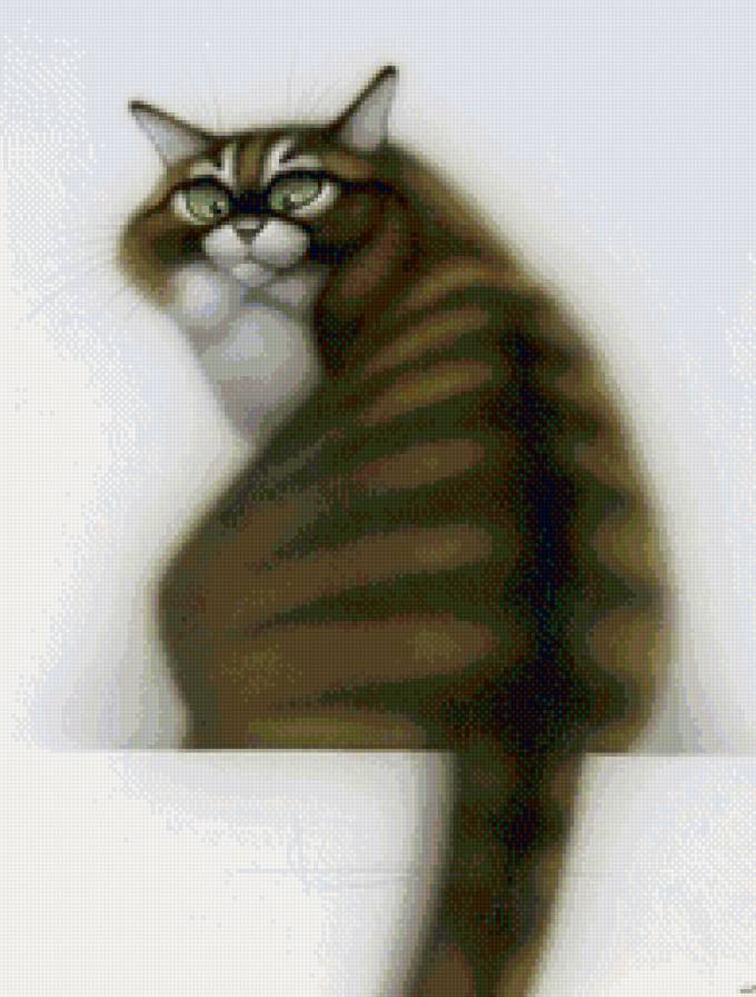 Упитанный - кот - предпросмотр