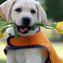 Схема вышивки «№605826»