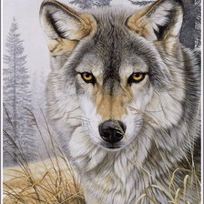 Оригинал схемы вышивки «Волк в лесу» (№605908)