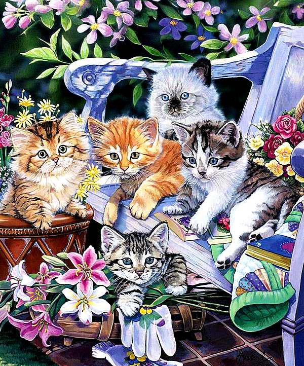 Котята - животные, кресло, сад, котята, кошки, цветы - оригинал