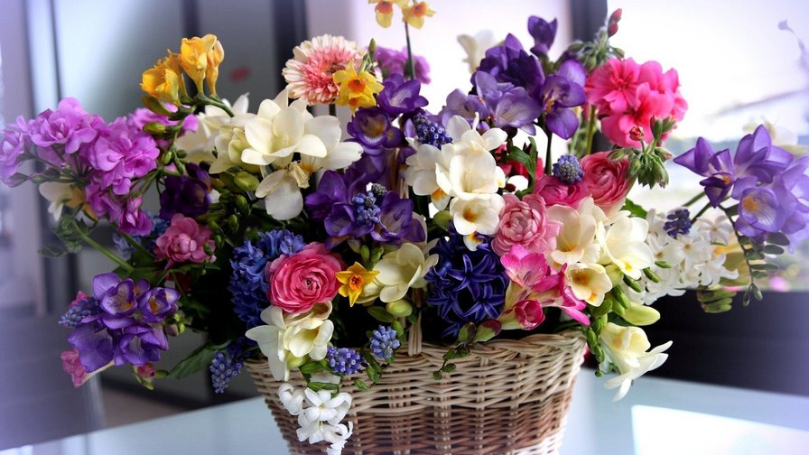 полевые цветы - ваза, букет, цветы - оригинал
