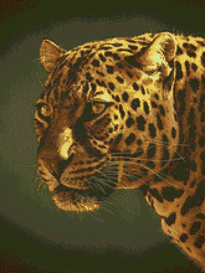 leopard - предпросмотр