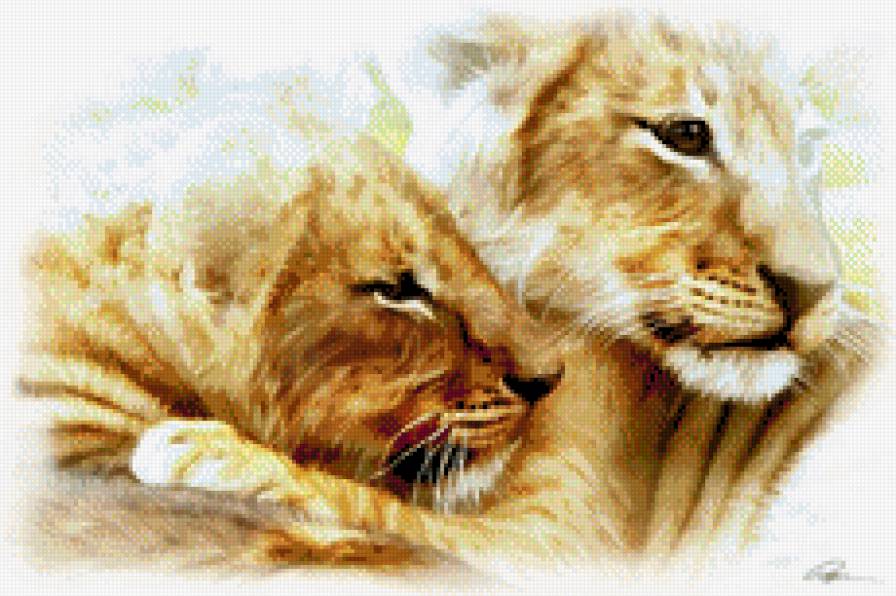 львиная парочка - львы, животные - предпросмотр