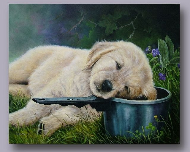 наелся - щенки, животные, собаки - оригинал