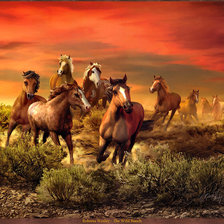 Схема вышивки «Кони.»