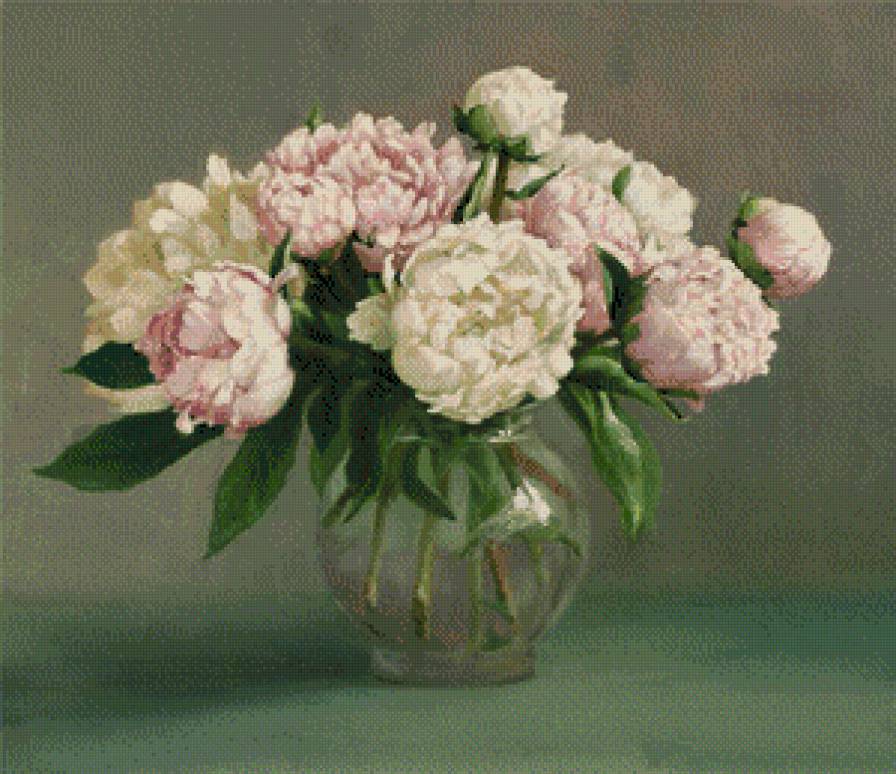 Пионы. - предпросмотр