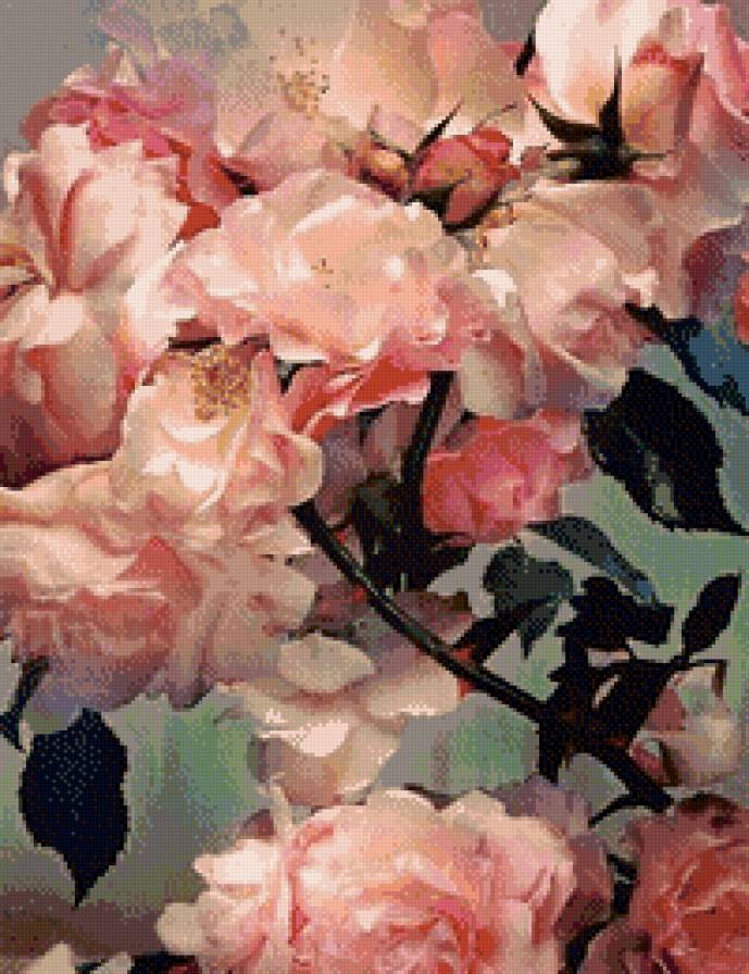 Розы - цветы, розы - предпросмотр