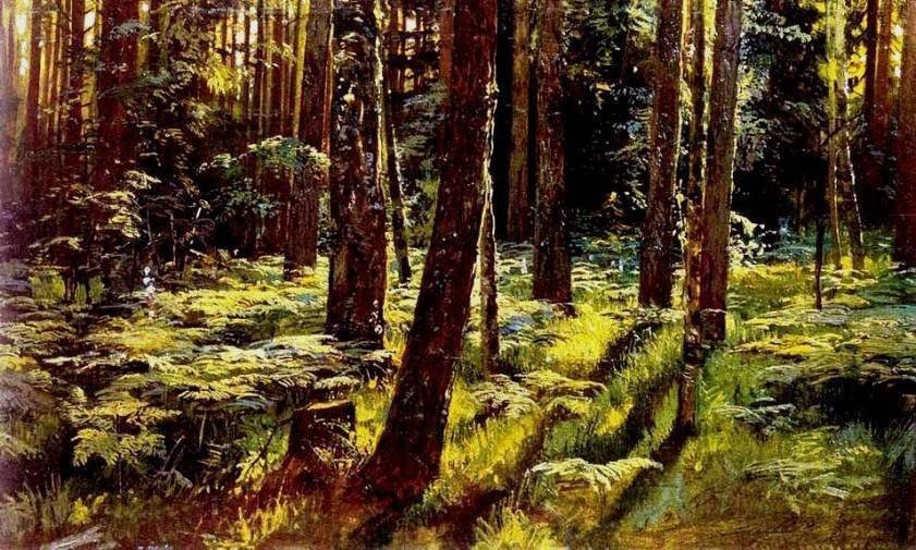 Папоротник - природа, лес, папоротник - оригинал