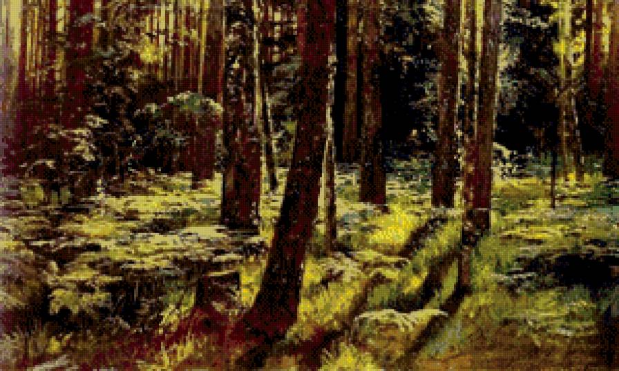 Папоротник - природа, папоротник, лес - предпросмотр