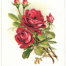 Схема вышивки «ИЗ цикла винтаж...»