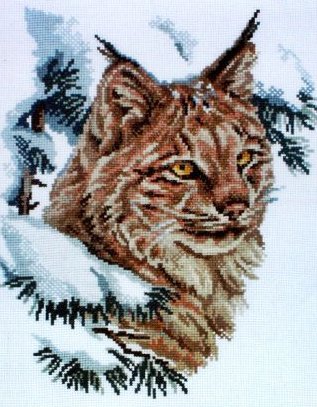 Рысь - оригинал