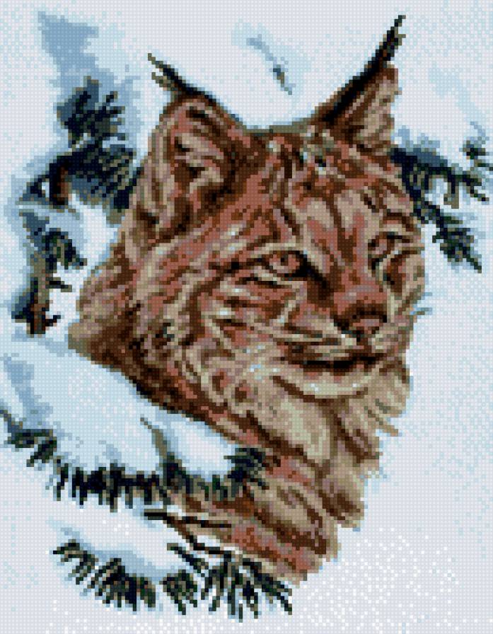 Рысь - предпросмотр