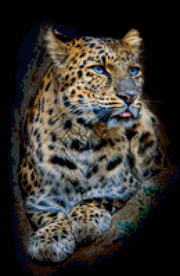 леопард - кошки, животные - предпросмотр