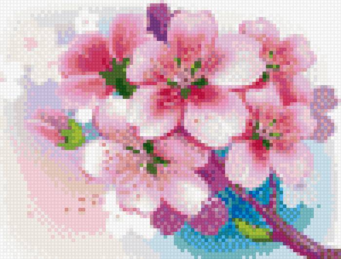 Яблуневий цвіт - предпросмотр