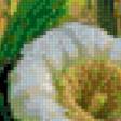 Предпросмотр схемы вышивки «когда кактусы цветут» (№606626)