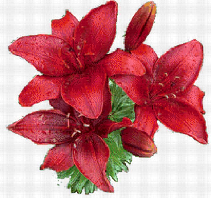 серия "подушки" - подушка.лилии - предпросмотр