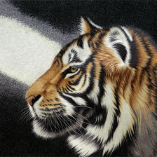 Схема вышивки «серия "подушки"»