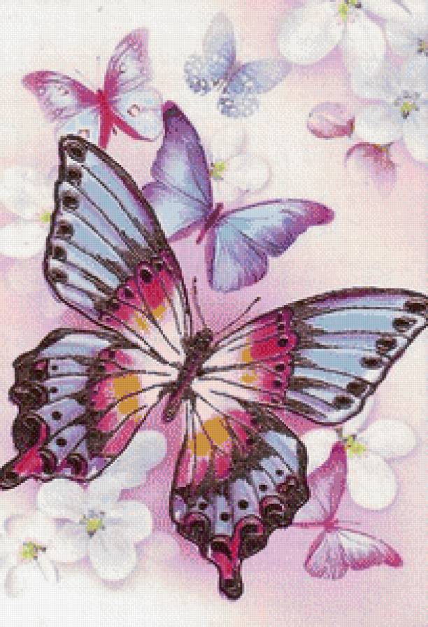 бабочки - предпросмотр