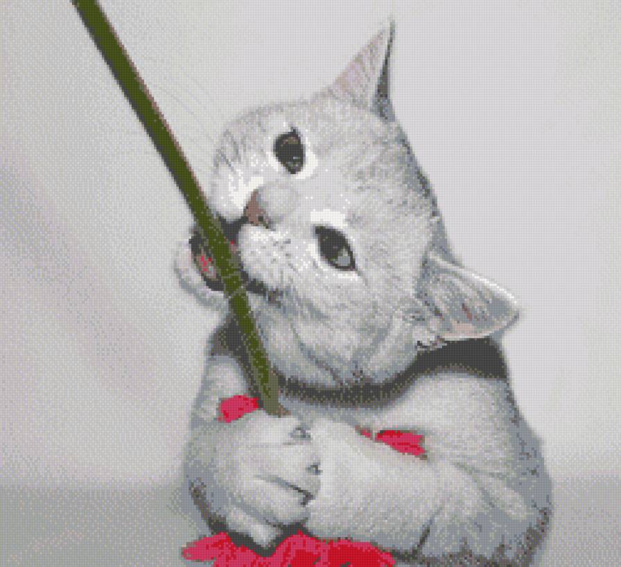 Котенька 3 - предпросмотр