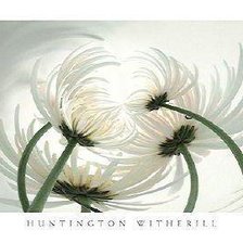 Схема вышивки «ромашки»